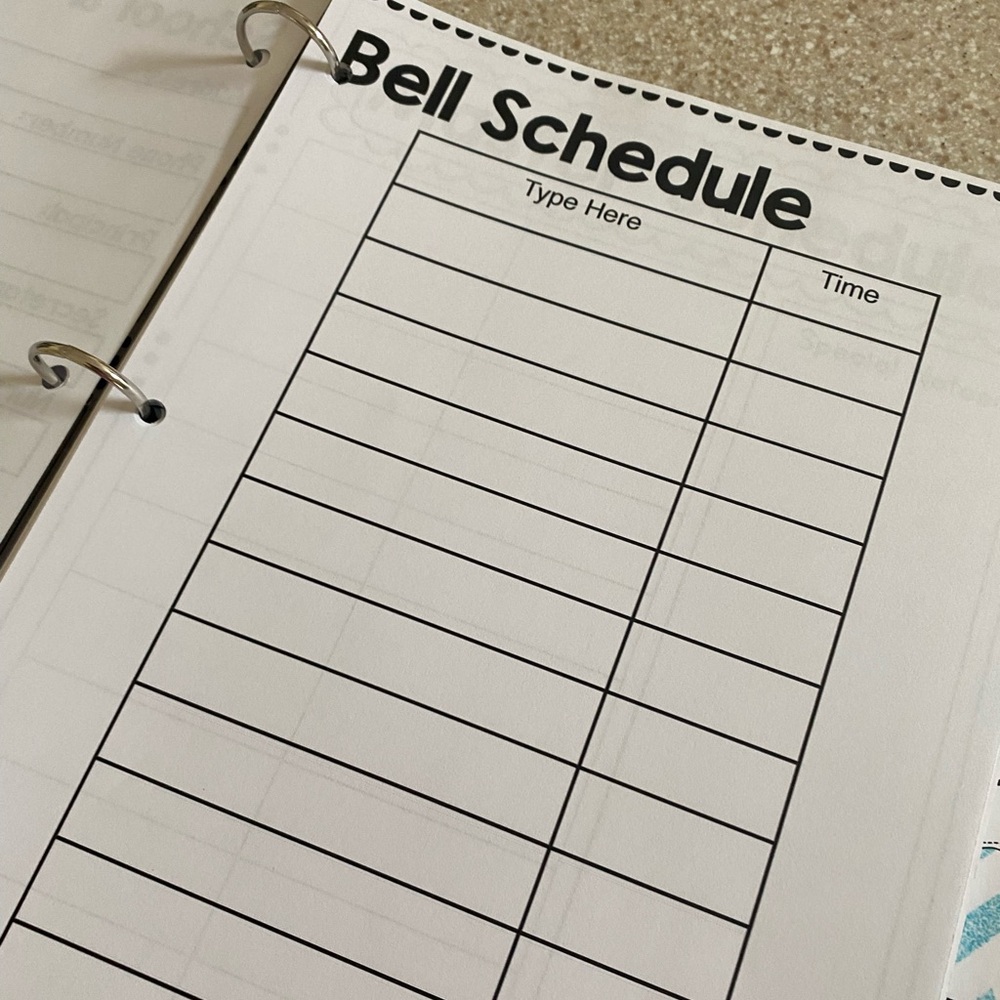 TEACHER GRAB BAG Substitute Teacher Binder - Picture 14 of 15